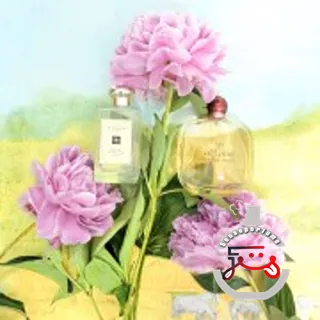 Sky di Gioia Giorgio Armani